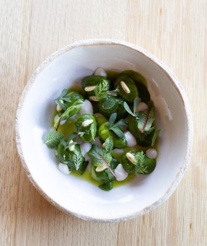 Gnocchi Latte c Venissa