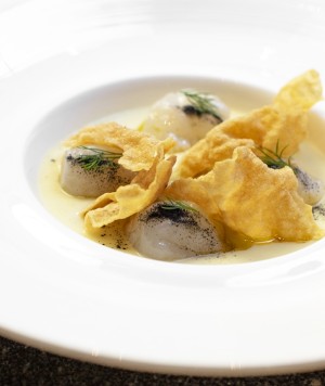 Pino Cuttaia gnocco seppia