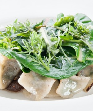 klugmann ravioli brambilla serrani