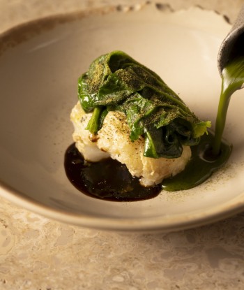 CAVOLFIORE PHDARIO BORRUTO1 2026 01 23 13 22 10