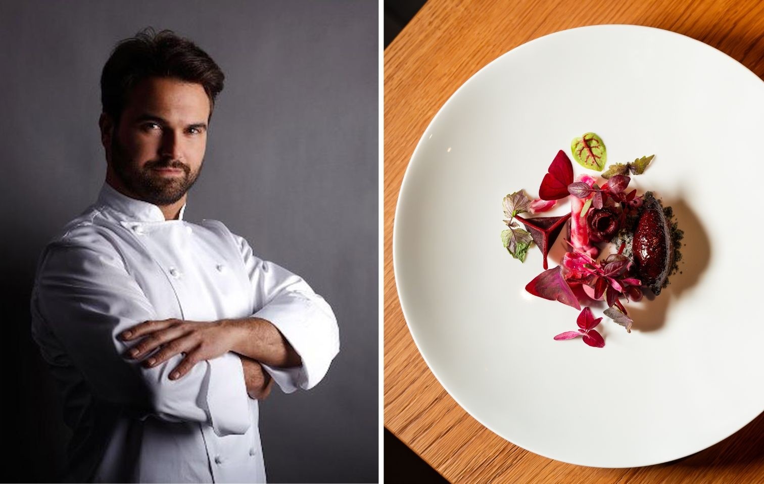 copertina croatti mirtillo foglie radici mela