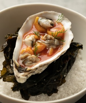 AlessandroBarattelliPh 7512