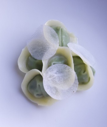 Raviolo alle erbe amare e rapa bianca antonia klugmann