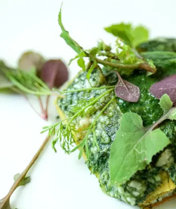 Lasagna di farina di lenticchia gialla erbe di campo e ricotta di pecora