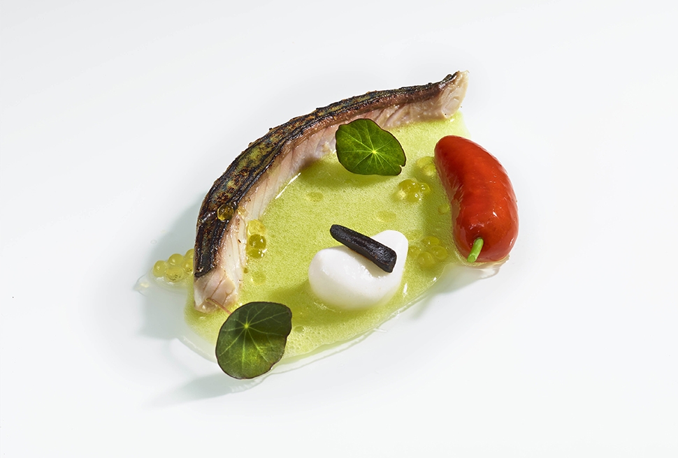 Marinated Mackerel With Garlic, Oil, And Chili Pepper Served With Cucumber Gazpacho | Felice Lo Bass