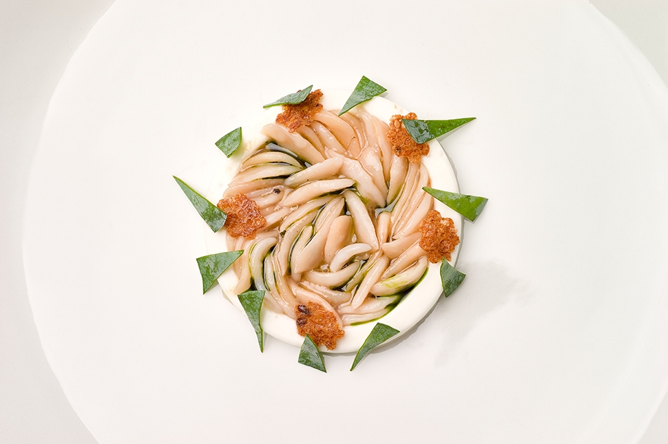Sea truffles, kefir, argan oil, and oyster leaves | Michele De Blasio | Chef Recipes | Reporter Gour