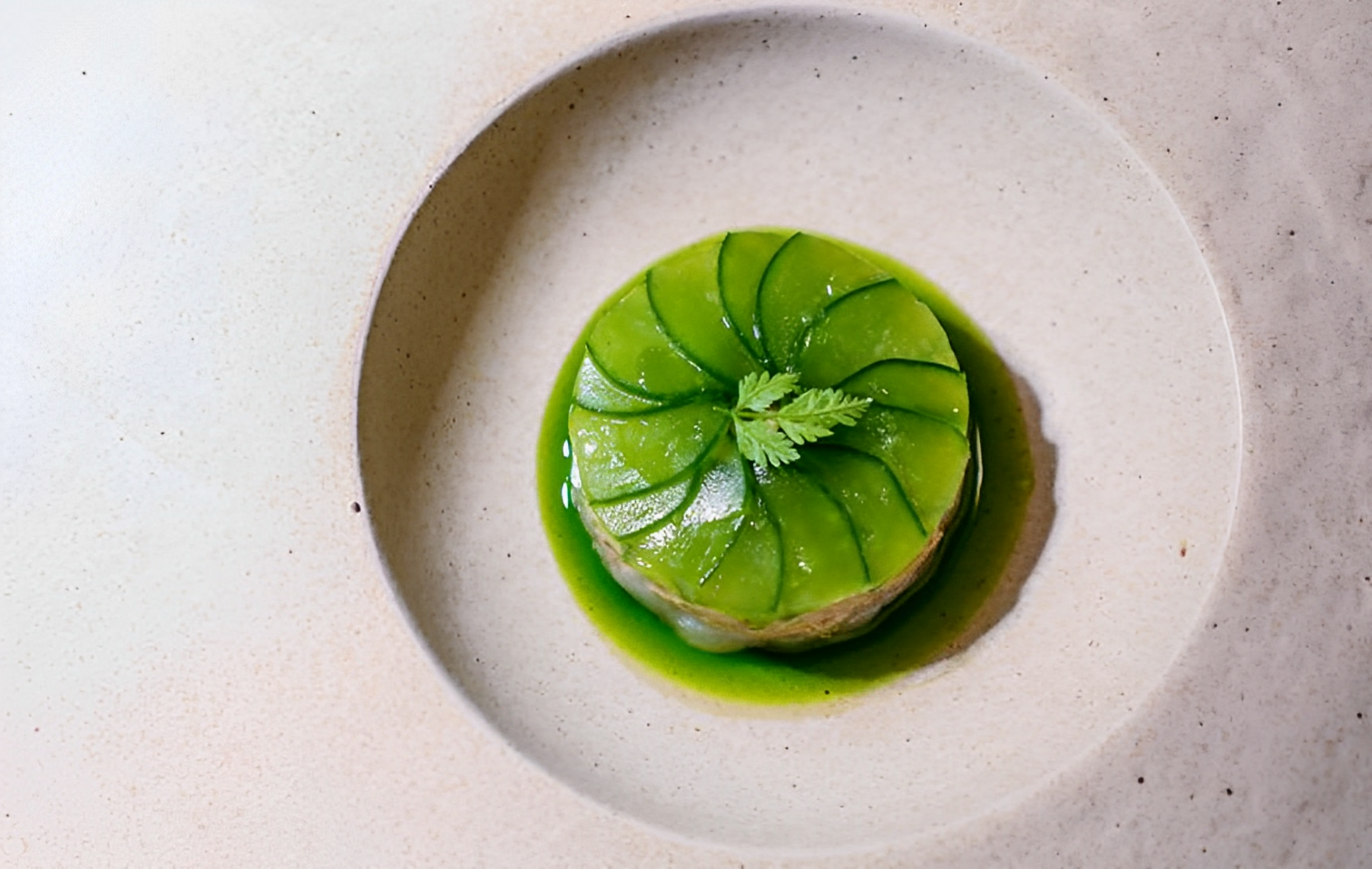 Crawfish stuffing, Cucumbers, Pistachio Tartar sauce, Green Apple and Dill | Chef Davide Puleio | Ch