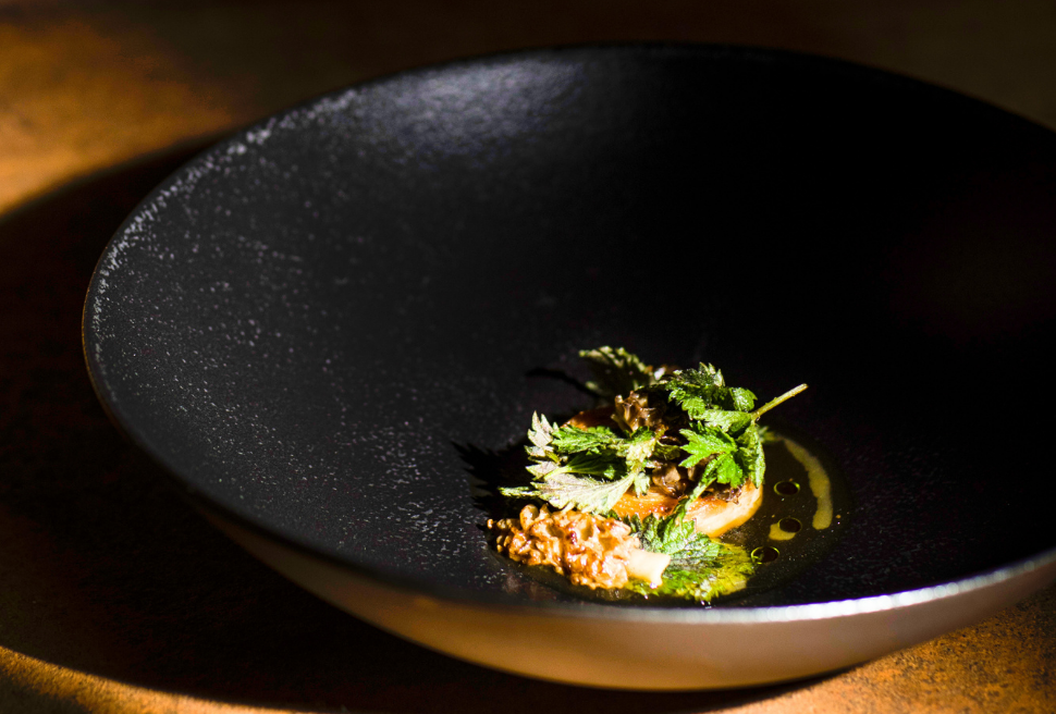 Consommé of veal with celeriac, morels and lovage oil | Ana Roš | Chef Recipes | Reporter Gourmet S.