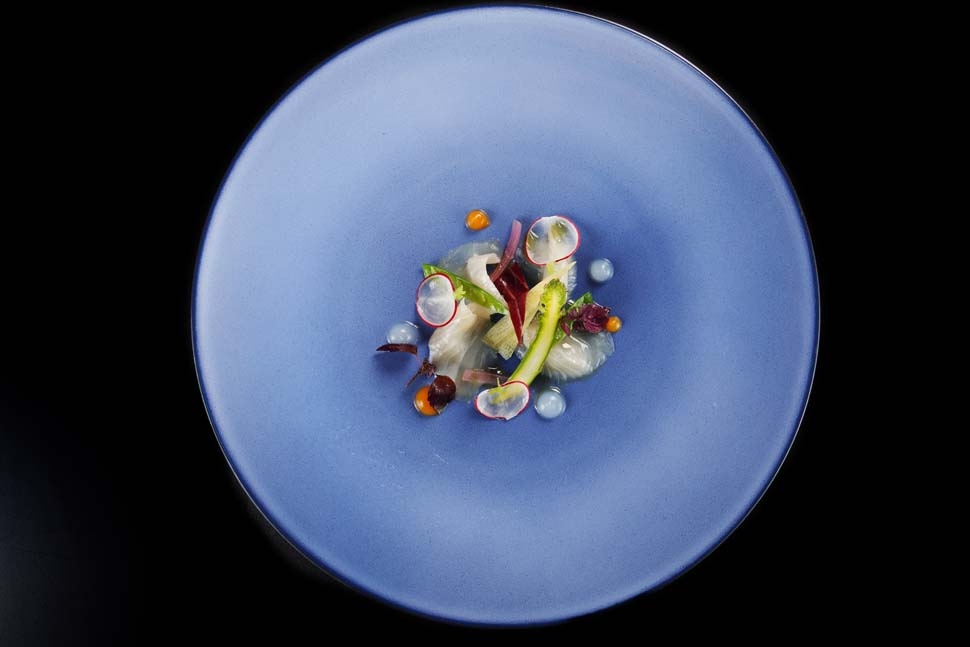 Amberjack and gin and tonic | Massimiliano Mascia | Chef Recipes | Reporter Gourmet S.r.l.