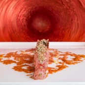 Mauro Uliassi Gambero rosso buccia di arancia zenzero cervella di gambero e cannella 1