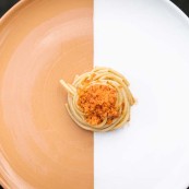 Stefano Zanini Spaghetto ragout e bottarga