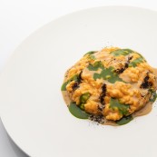 23 Risotto ai ricci di mare con quinto quarto di seppia ed estratto di cicoria selvatica Pierluigi Gallo Crediti Stefano Mileto 2