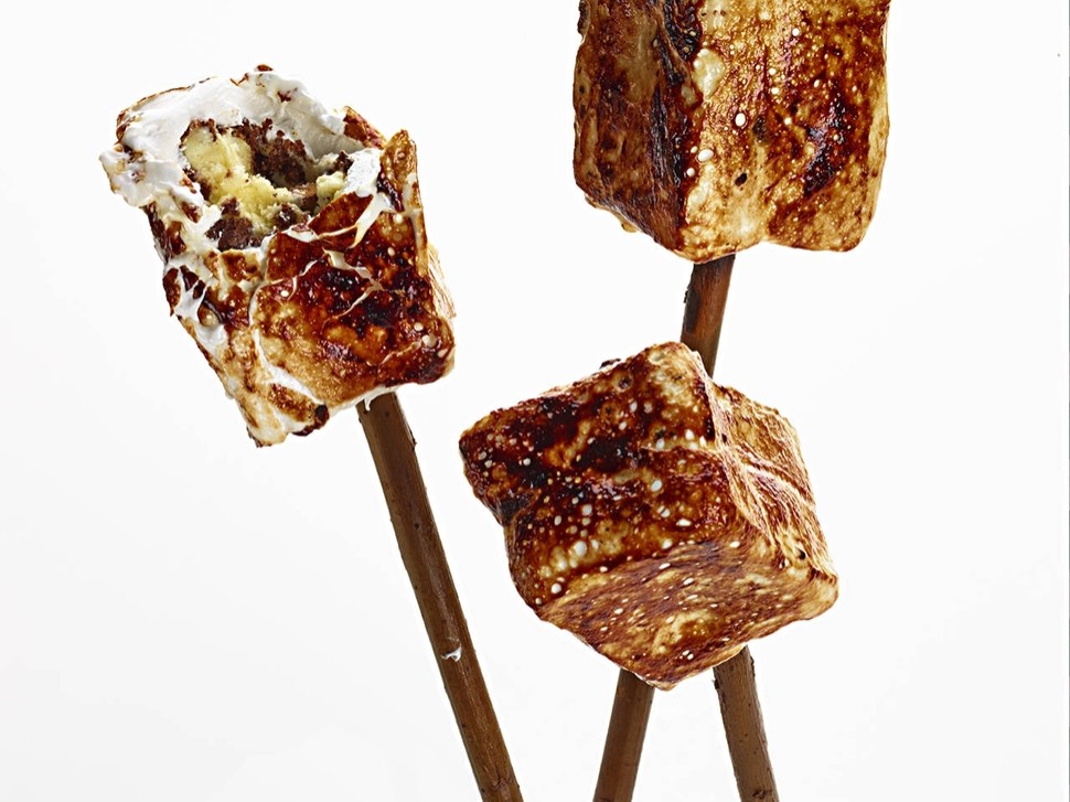 23 Dominique Ansel Frozen Smores