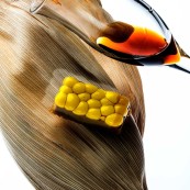 11 Oriol Castro Mateu Casanas and Eduard Xatruch Multi spherical tatin of corn and foie Francesc Guillamet