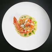 5 Stefan Heilemann Carabinero Fennel Chorizo