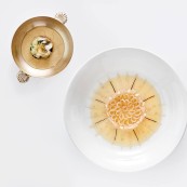 14 Gerald Passedat the corolla of Saint Pierre and matured capon sprinkled with a tuna broth turnip and cuttlefish seasoned with antique garum