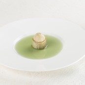 12 Franco Aliberti 100 carciofo