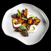 23 Valeria Piccini Pancia di maiale confit con lenticchie limone yogurt e foglia di sedano selvatico copia