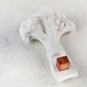 5 Franco Aliberti gambo 2