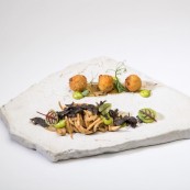 5 Michele Iaconeta Funghi Cardoncelli maionese al tartufo nero del Baldo e sfere di Midollo di Garronese copia