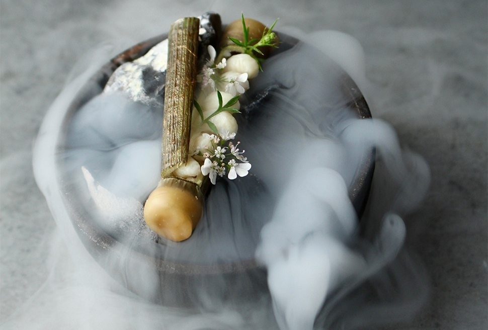4 Roberto Flore Larve di ape cotte nel fusto di levistico Nordic Food Lab Copenhagen