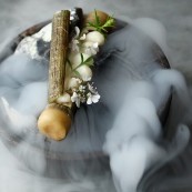 4 Roberto Flore Larve di ape cotte nel fusto di levistico Nordic Food Lab Copenhagen
