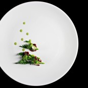 12 Valentino Cassanelli foto Lido Vannucchi Rognone e Broccoli