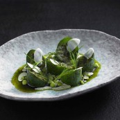 22 Chef Ben Shewry Attica Restaurant Melbourne Australia Cetrioli salsa di pimpinella latte di capra e trota di fiume essicata