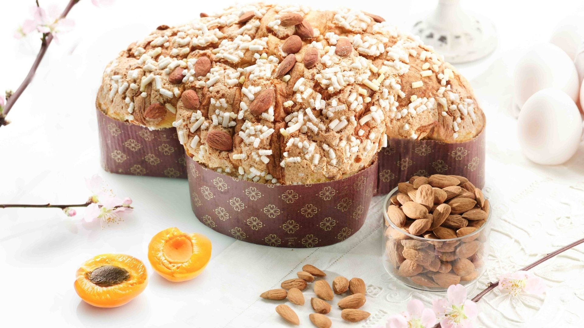 Slideshow nuovo sito 13 2026 03 24 00 41 32