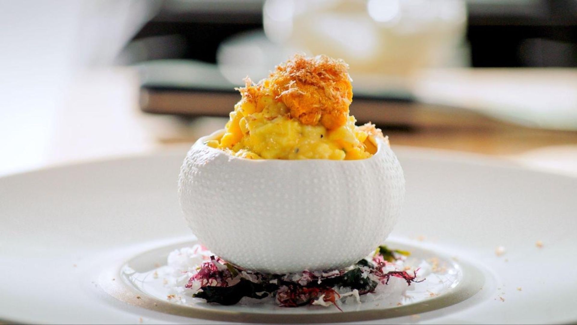 Slideshow nuovo sito 14 2026 03 26 20 15 27