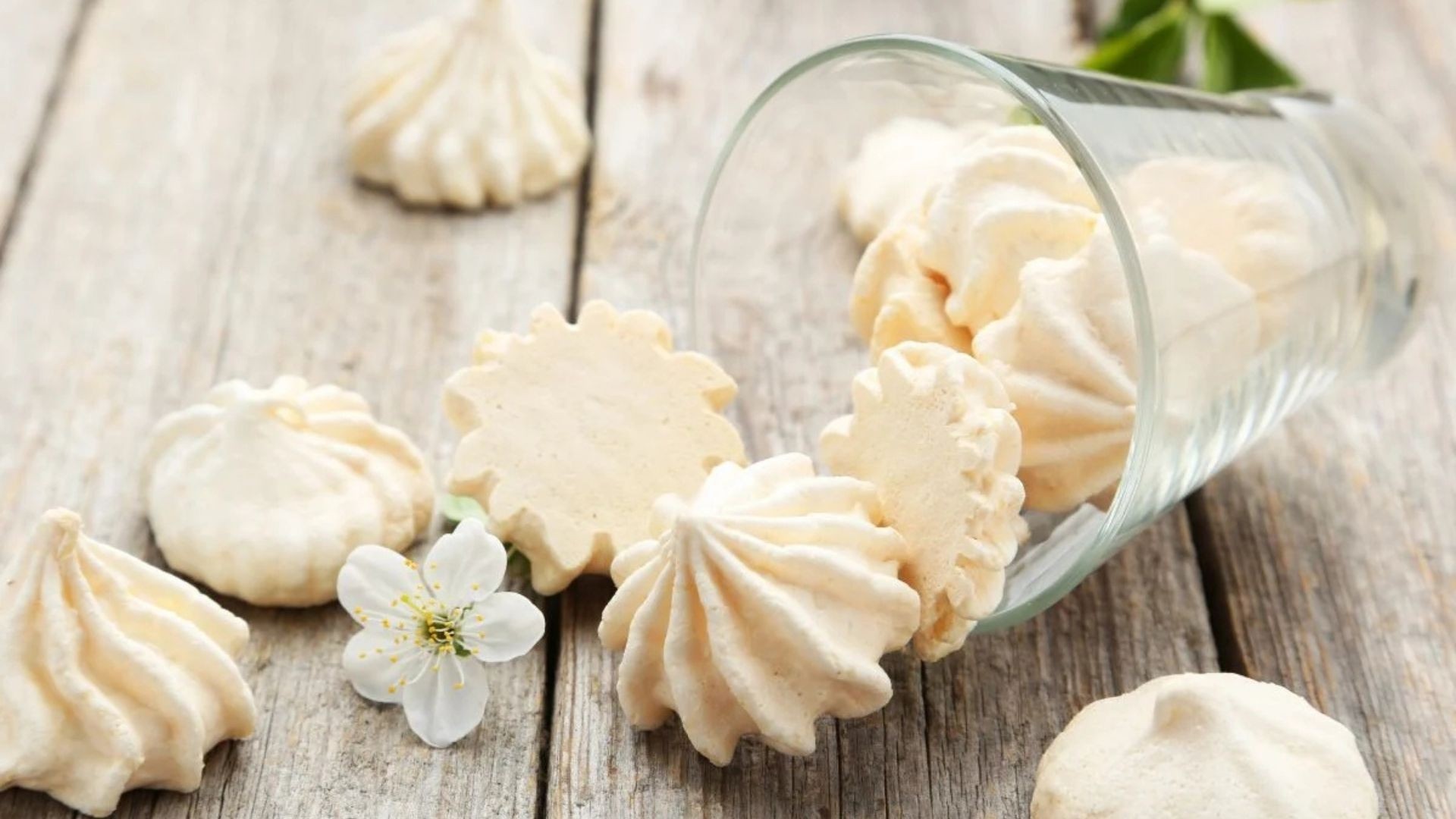 Slideshow nuovo sito 9 2026 04 17 01 07 28