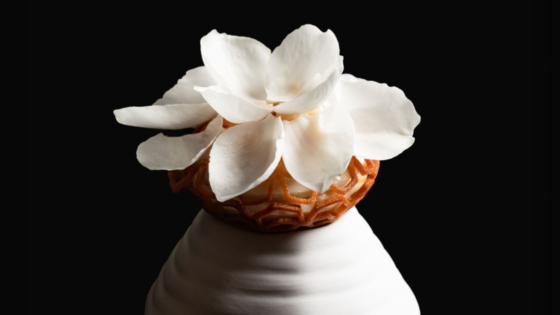 Slideshow nuovo sito 13 2026 04 29 15 34 18