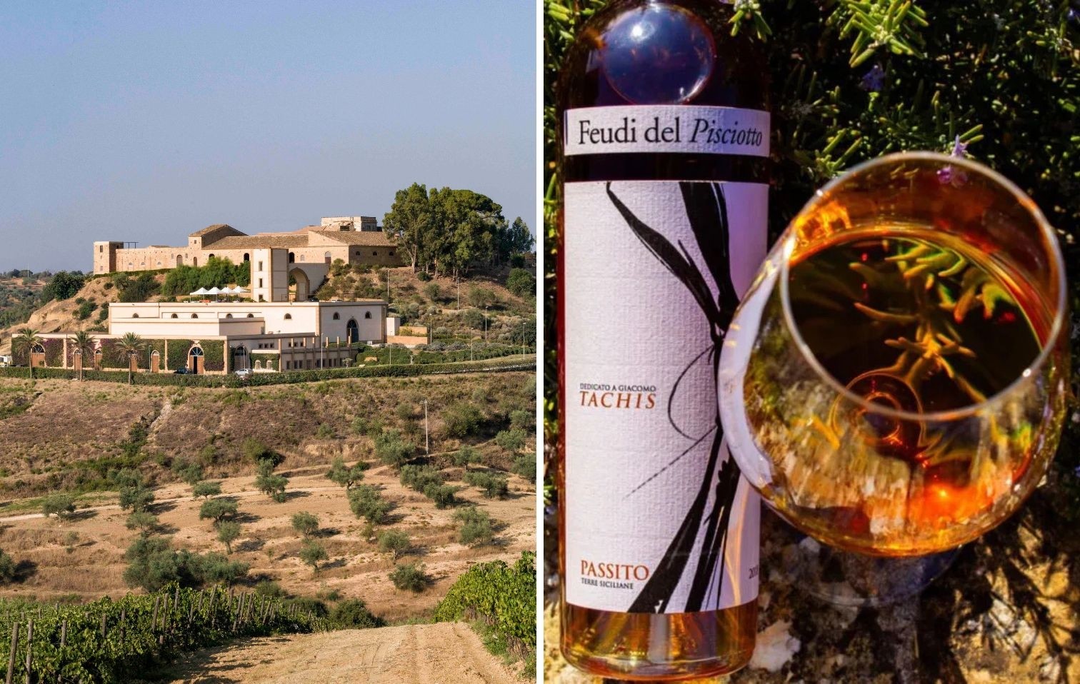 copertina feudi del pisciotto 2