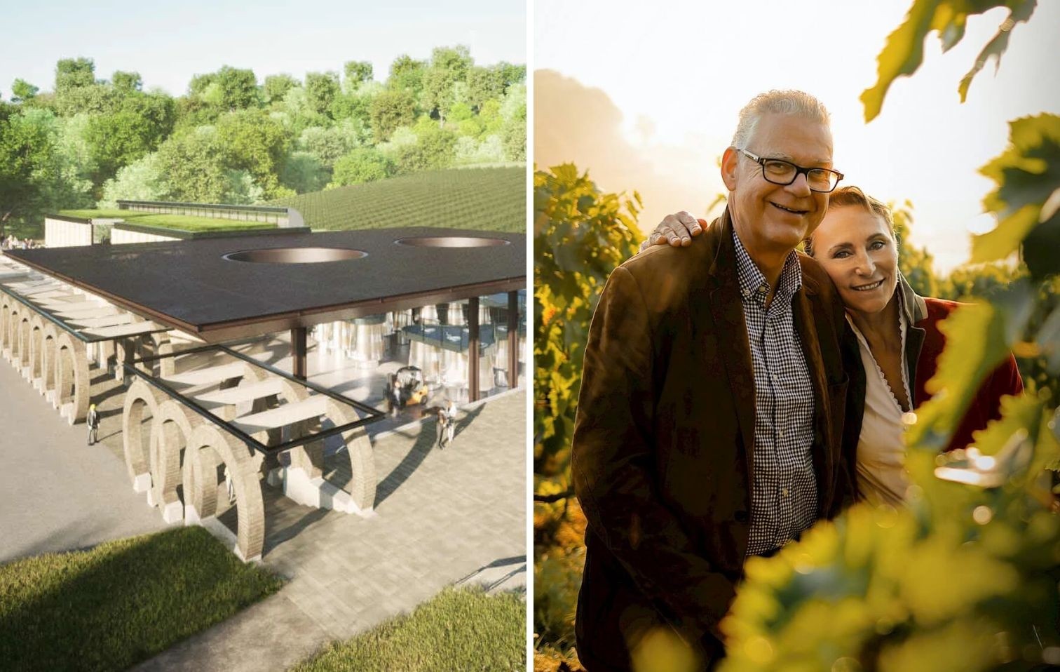 copertina arillo in terrabianca