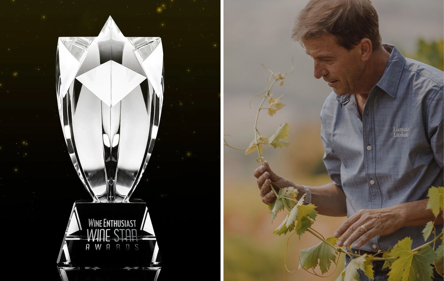 copertina andrea daldin