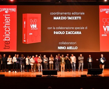 copertina vini d italia