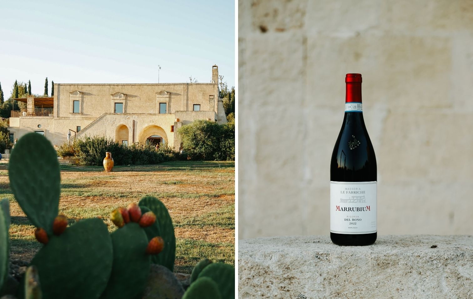 copertina masseria 2025 10 17 18 02 47