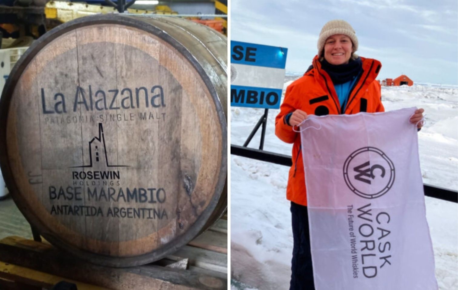 Nuova copertina sito 33