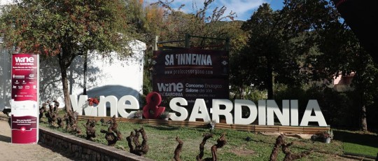winesardinia 14
