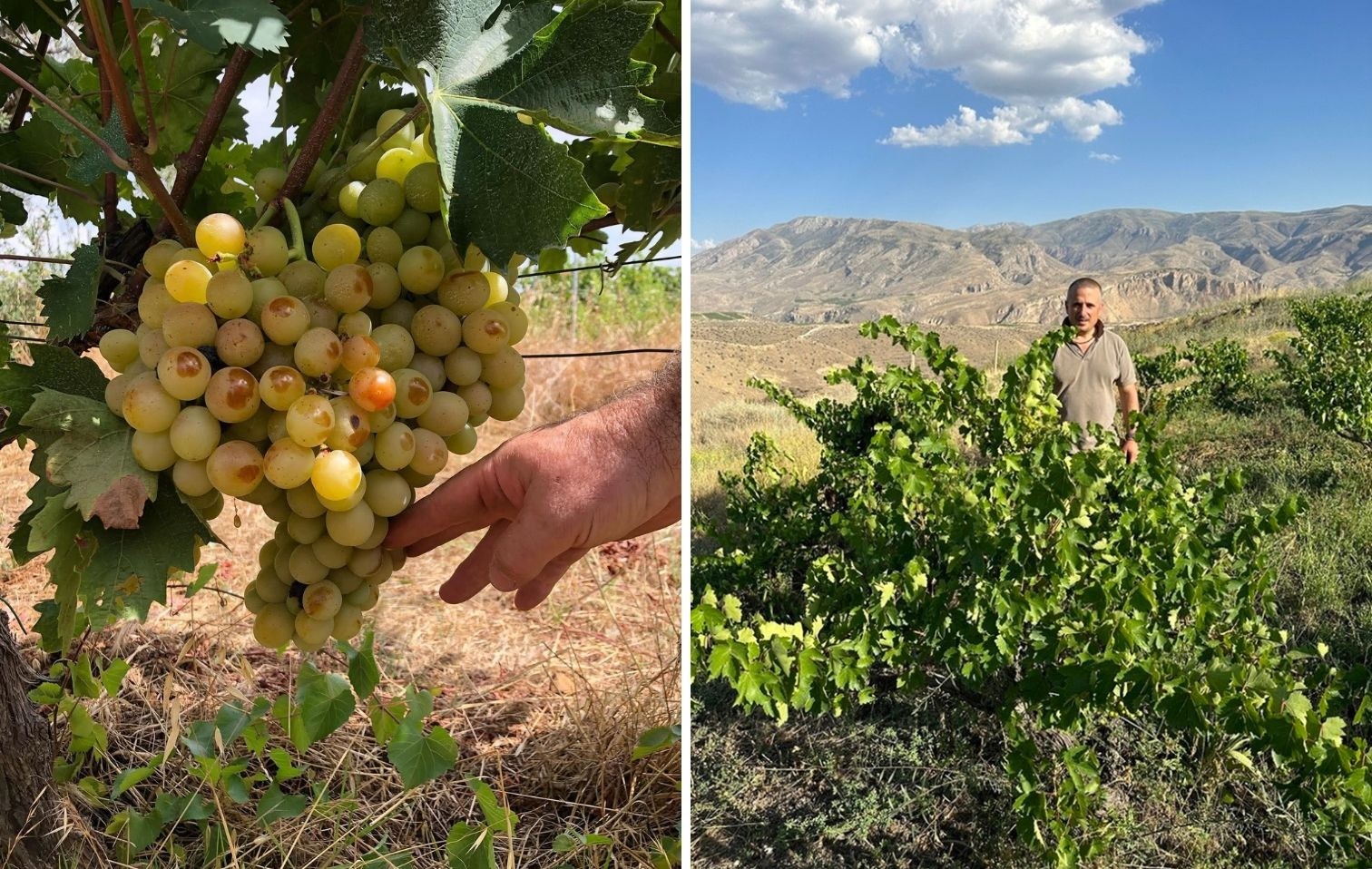 3 2025 12 15 14 35 08