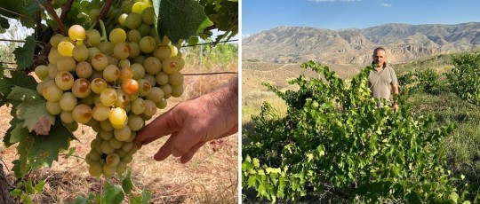 3 2025 12 15 14 35 08