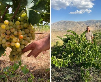 3 2025 12 15 14 35 08