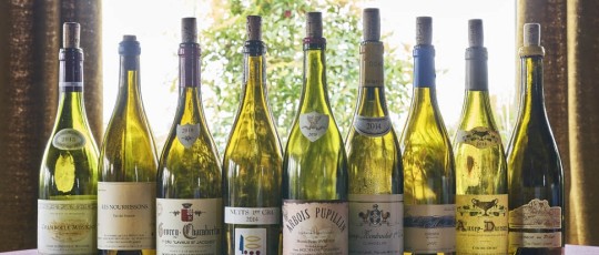 Vini ALTO 1195 copia 2