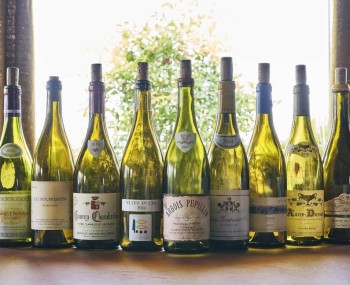 Vini ALTO 1195 copia 2