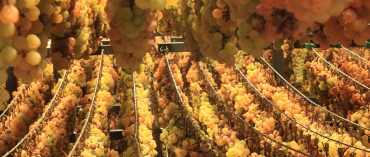 Passitaia Erbaluce DOCG