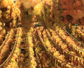 Passitaia Erbaluce DOCG