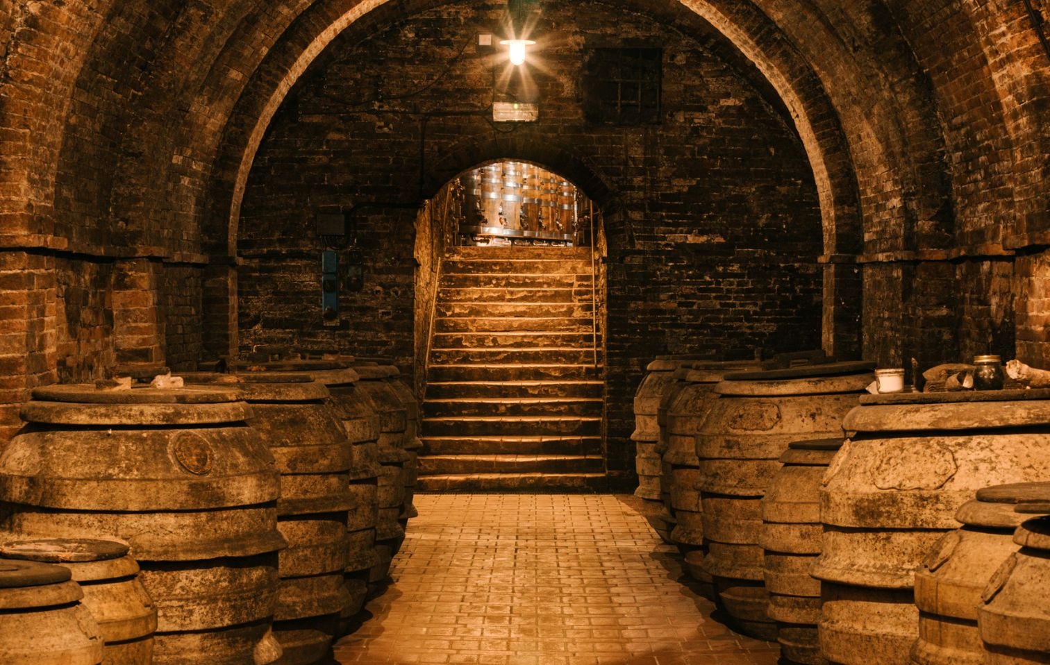 Avignonesi, un tempio del Sangiovese sostenibile: la cantina biodinamica che esporta in 37 paesi