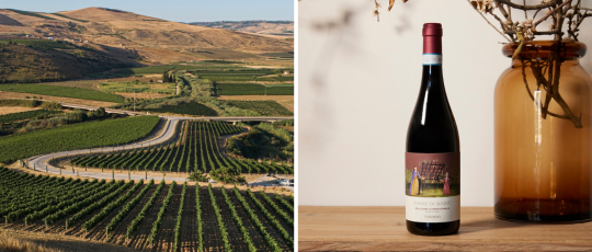 Copertina baglio ceuso