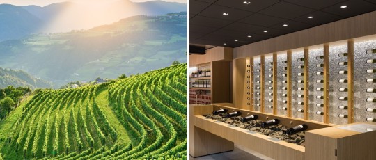 copertina cantina valle isarco 2026 05 11 17 20 16