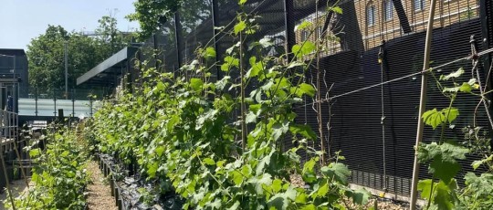Chateau Denmark Hill 3
